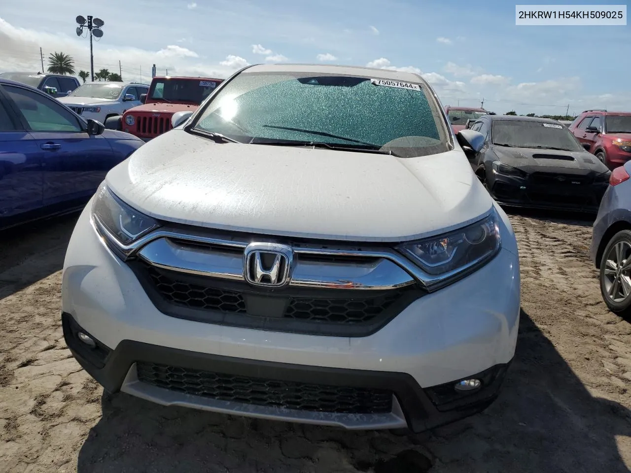 2019 Honda Cr-V Ex VIN: 2HKRW1H54KH509025 Lot: 75057644