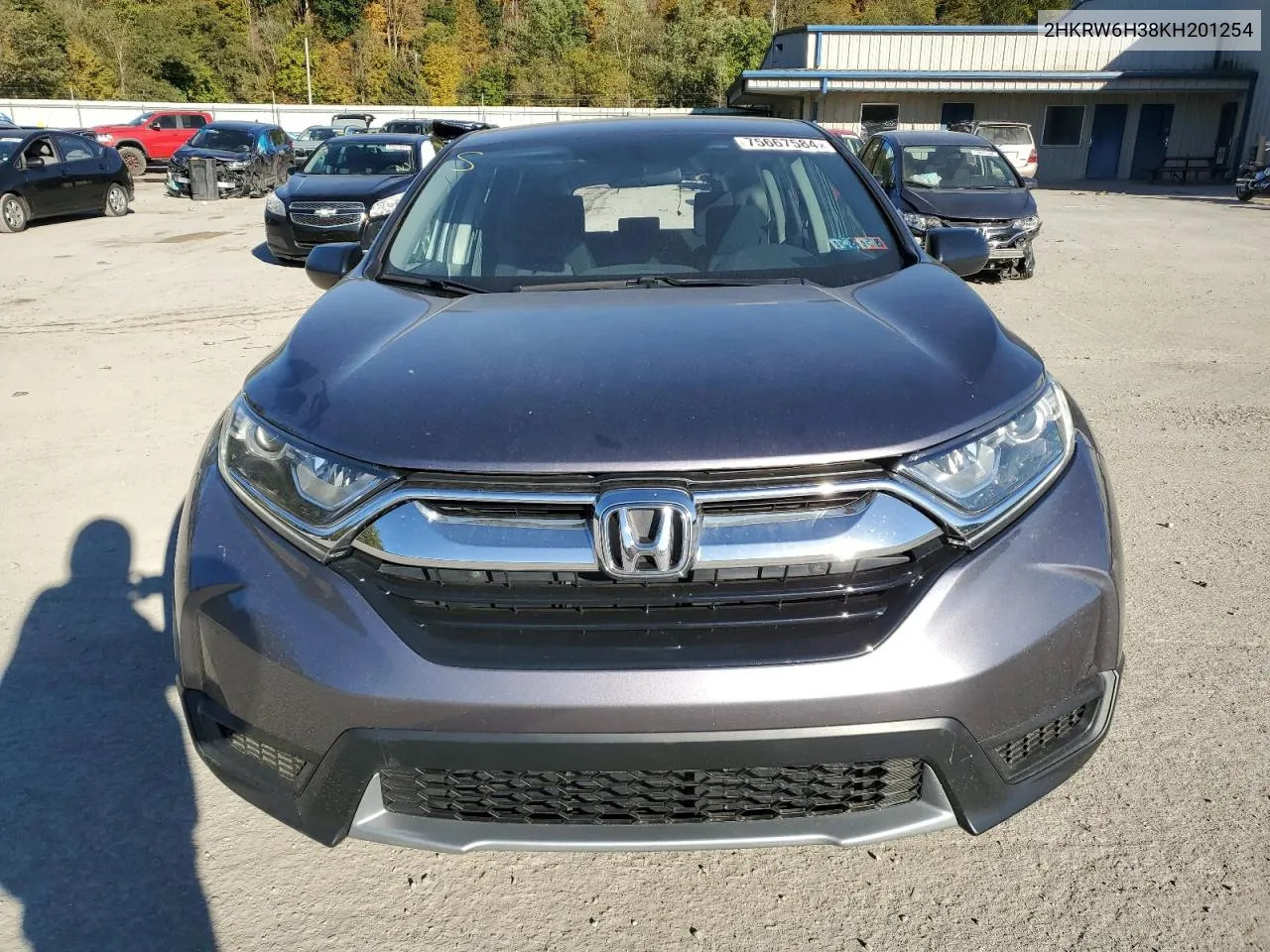 2019 Honda Cr-V Lx VIN: 2HKRW6H38KH201254 Lot: 75667584