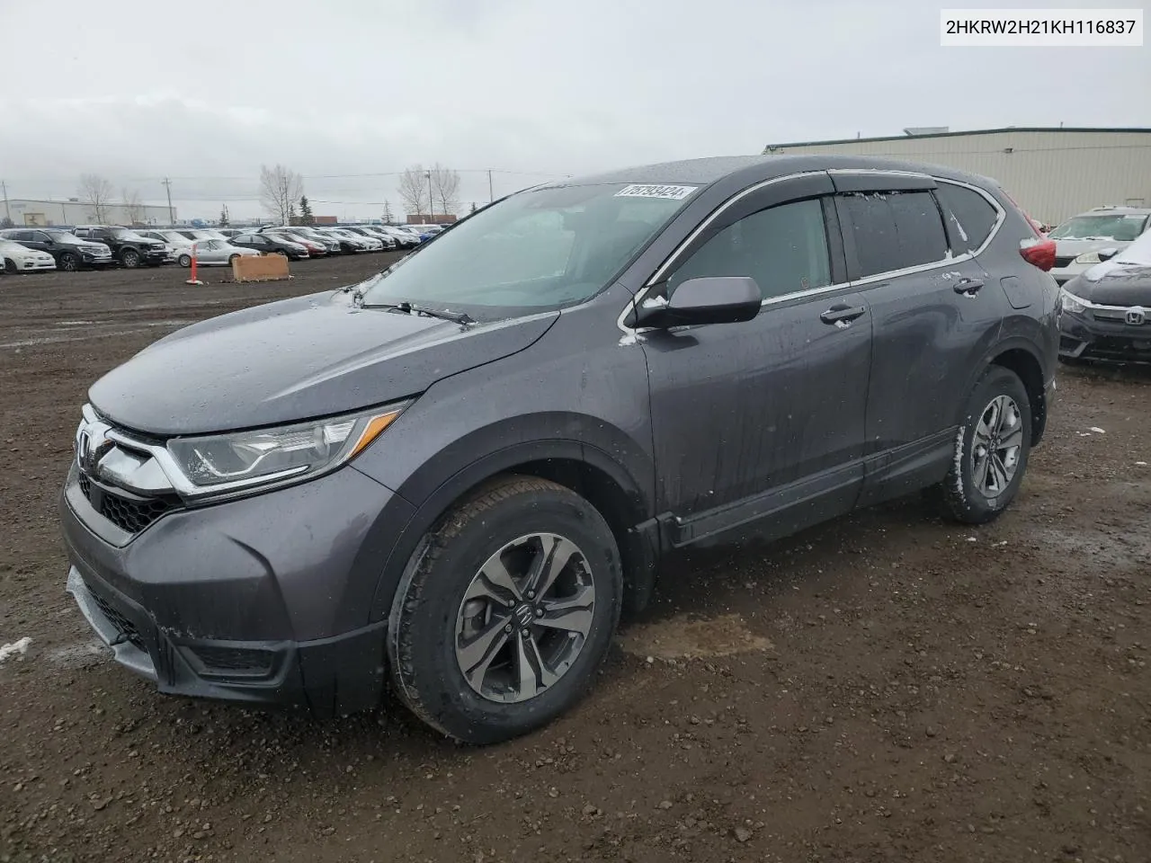 2019 Honda Cr-V Lx VIN: 2HKRW2H21KH116837 Lot: 75793424