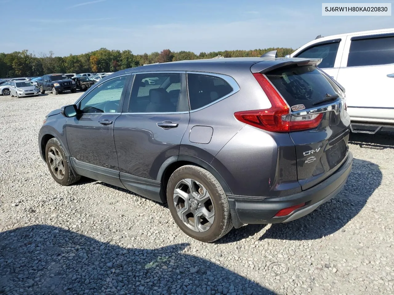 2019 Honda Cr-V Exl VIN: 5J6RW1H80KA020830 Lot: 77798654