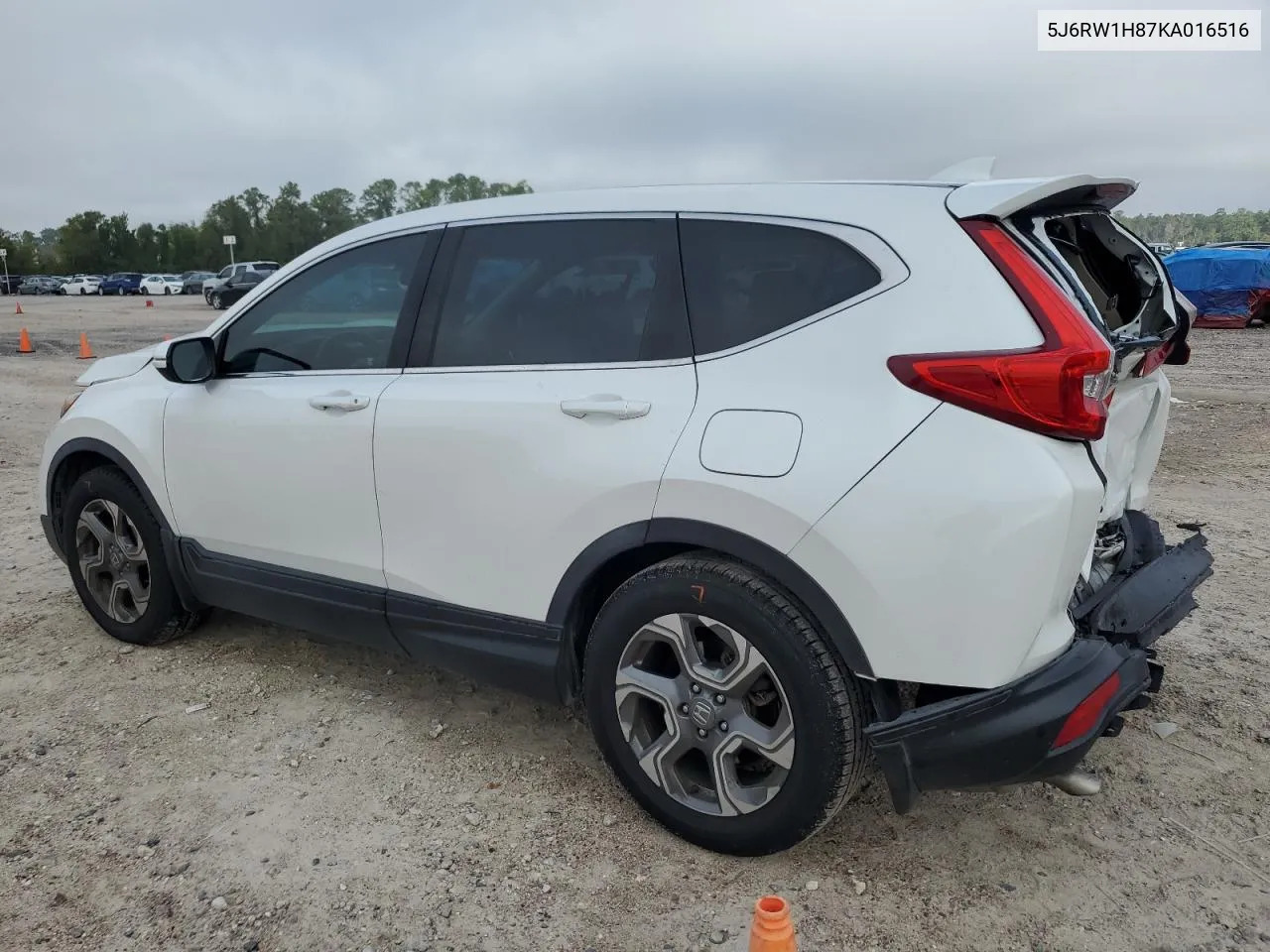 2019 Honda Cr-V Exl VIN: 5J6RW1H87KA016516 Lot: 80230724