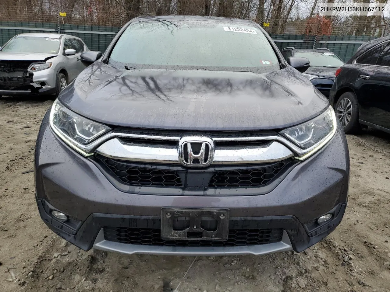 2019 Honda Cr-V Ex VIN: 2HKRW2H53KH667412 Lot: 81203454