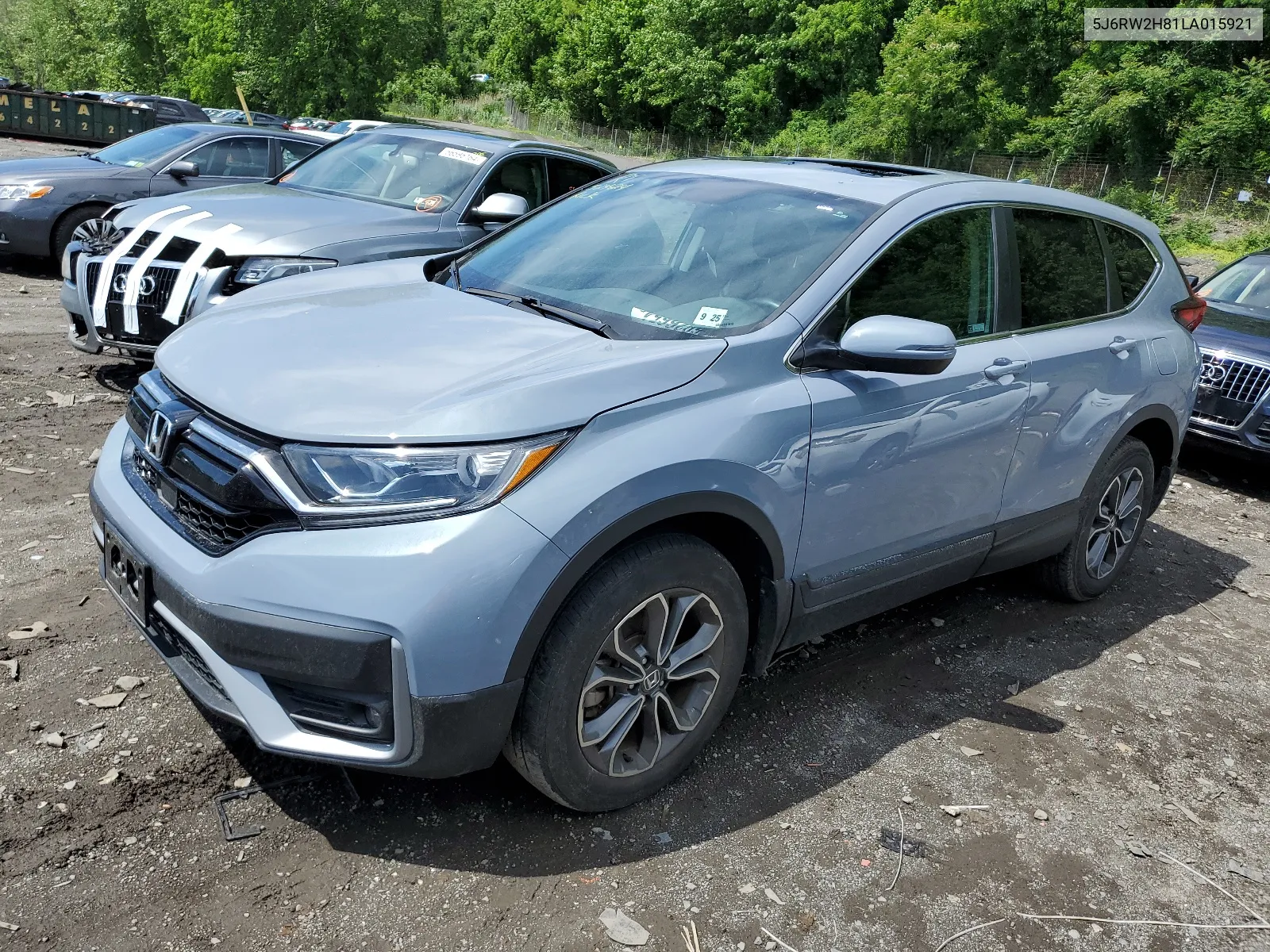 2020 Honda Cr-V Exl VIN: 5J6RW2H81LA015921 Lot: 56926654