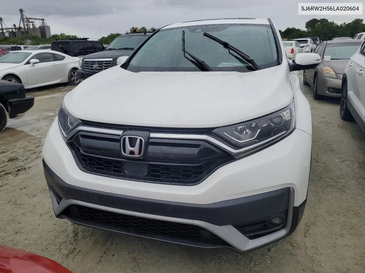 2020 Honda Cr-V Ex VIN: 5J6RW2H56LA020604 Lot: 74741194