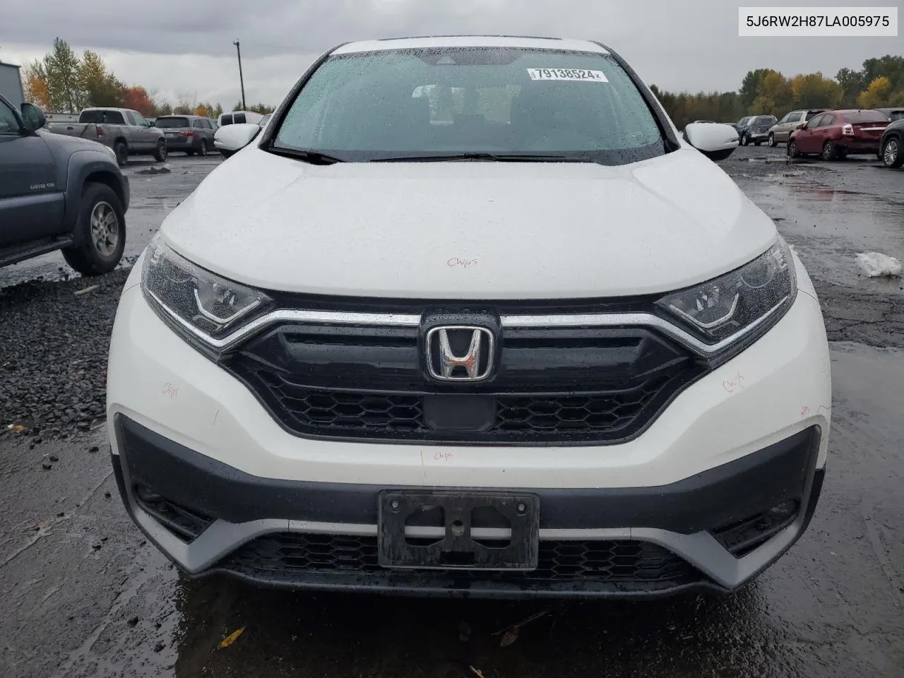 2020 Honda Cr-V Exl VIN: 5J6RW2H87LA005975 Lot: 79138524