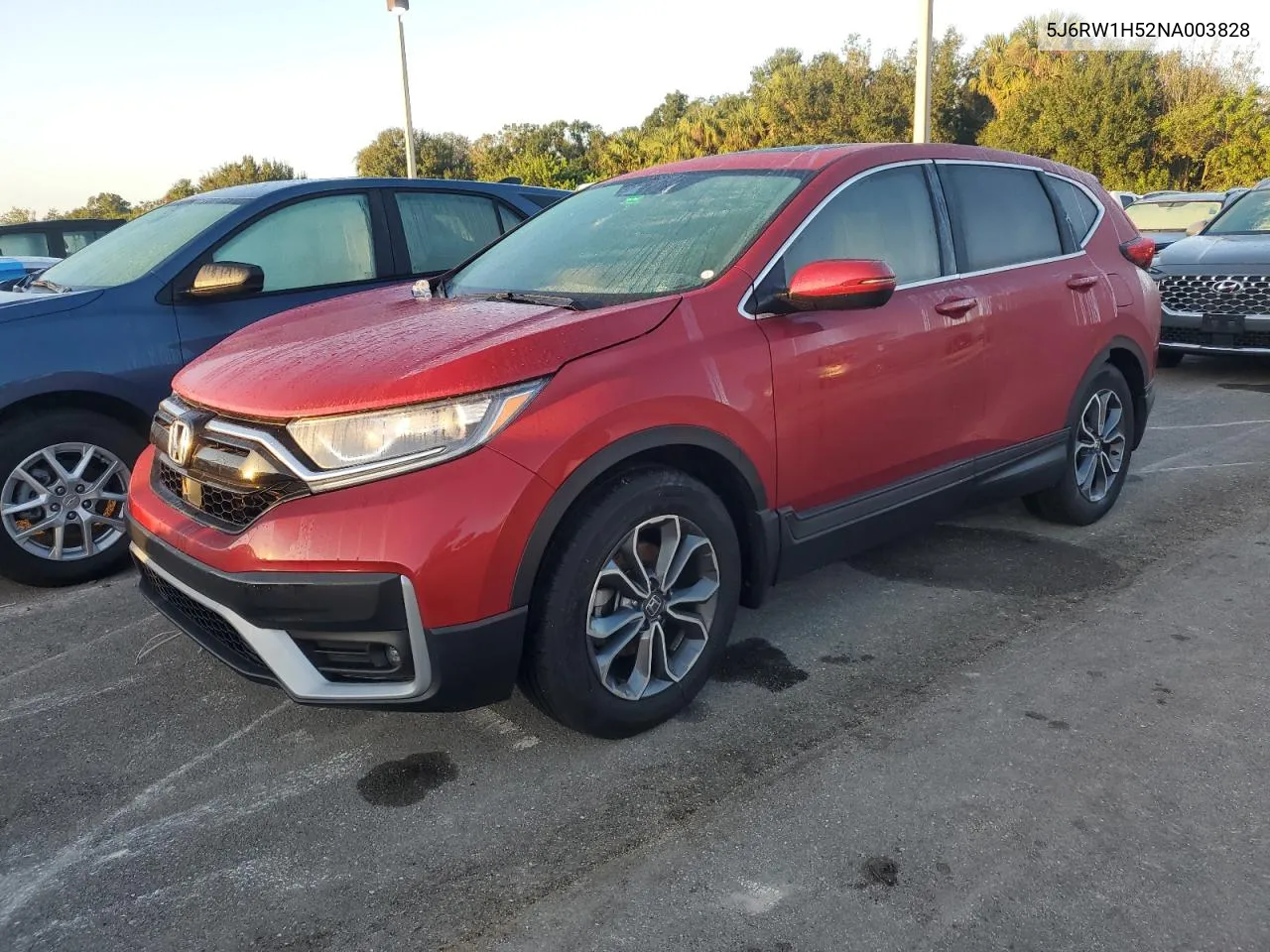 2022 Honda Cr-V Ex VIN: 5J6RW1H52NA003828 Lot: 74576814