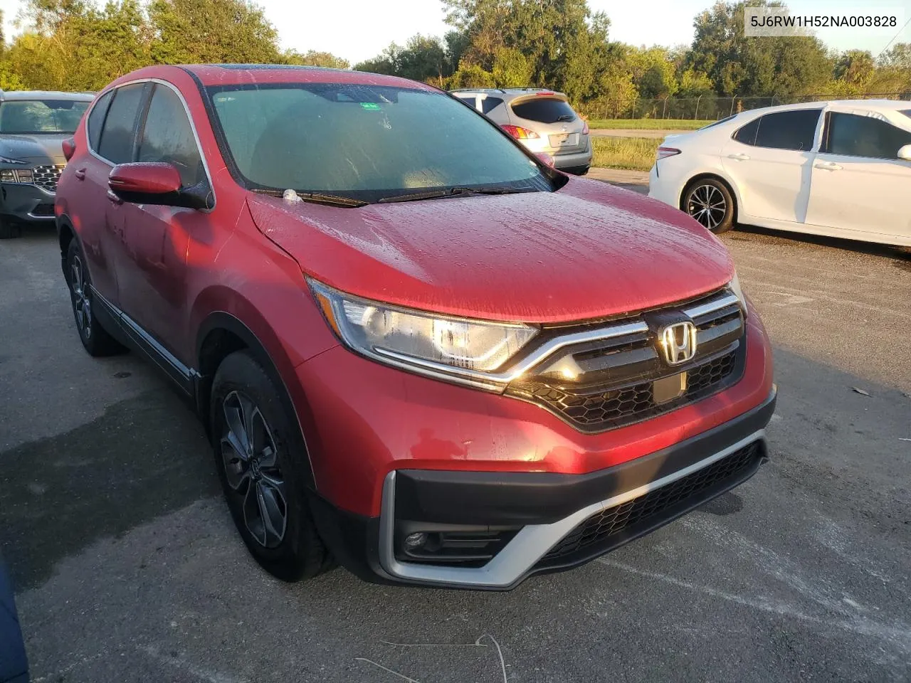 2022 Honda Cr-V Ex VIN: 5J6RW1H52NA003828 Lot: 74576814