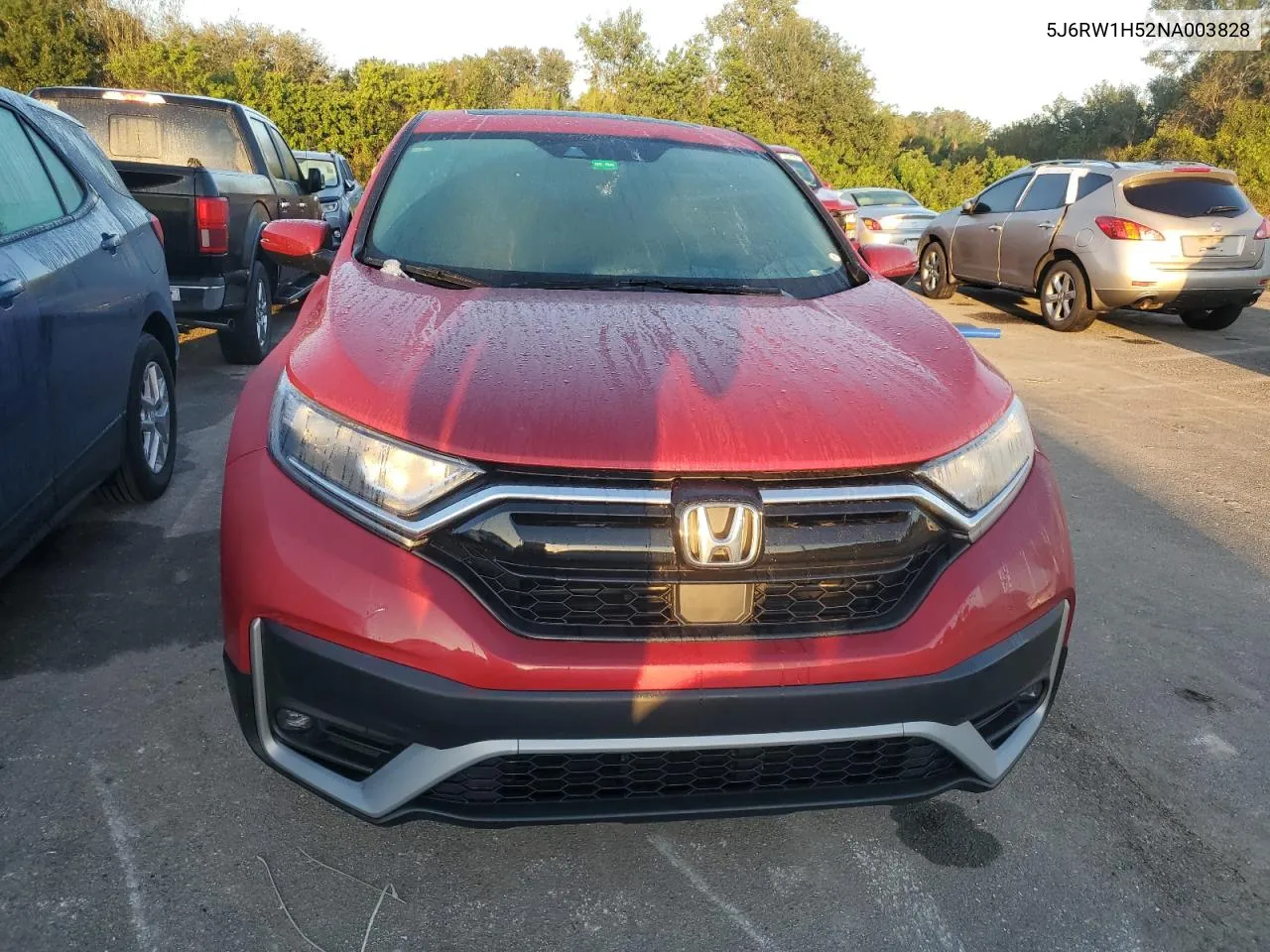 2022 Honda Cr-V Ex VIN: 5J6RW1H52NA003828 Lot: 74576814