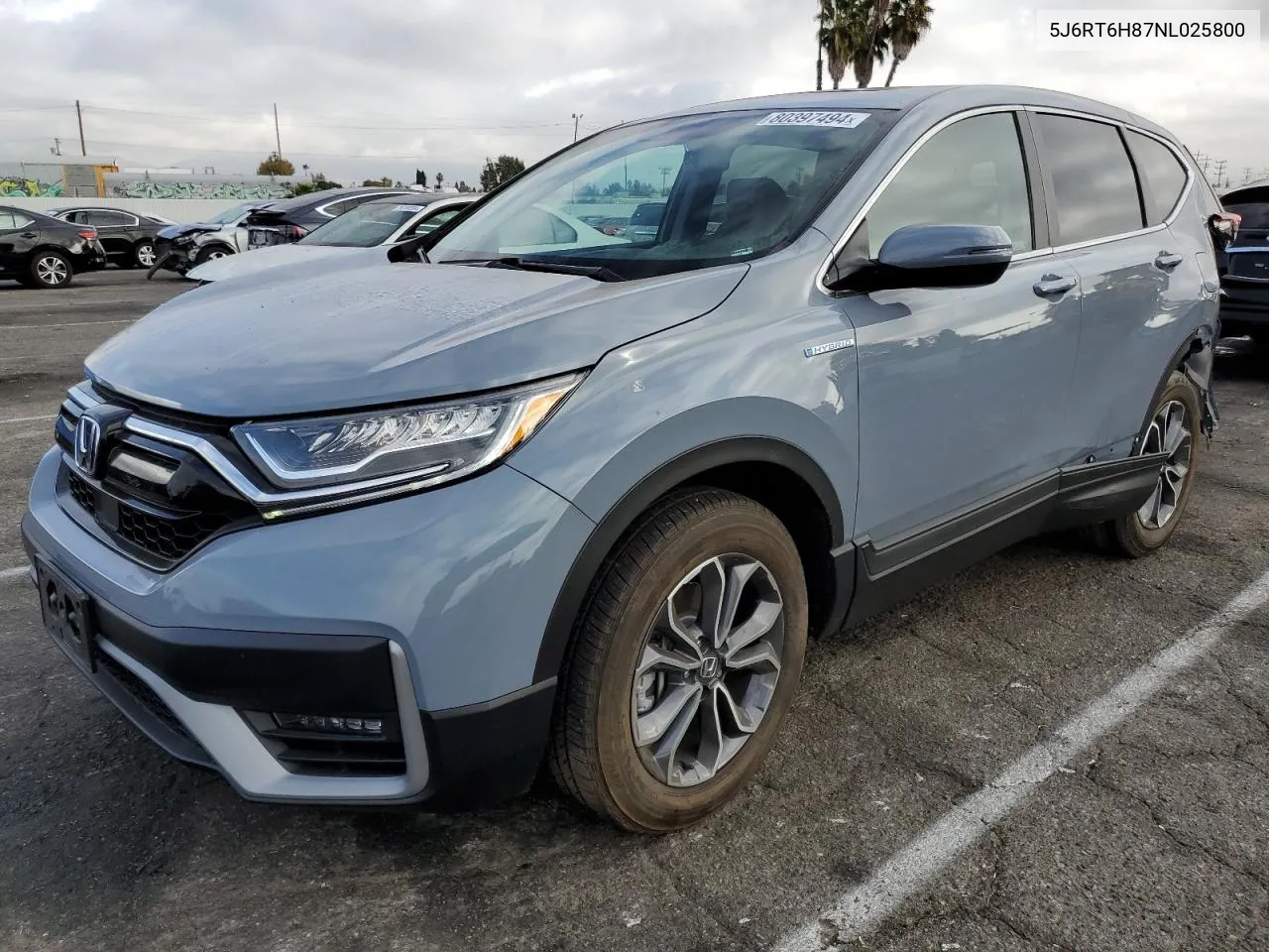 2022 Honda Cr-V Exl VIN: 5J6RT6H87NL025800 Lot: 80397494