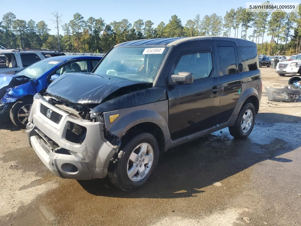 2004 Honda Element Ex VIN: 5J6YH18584L009559 Lot: 76541844