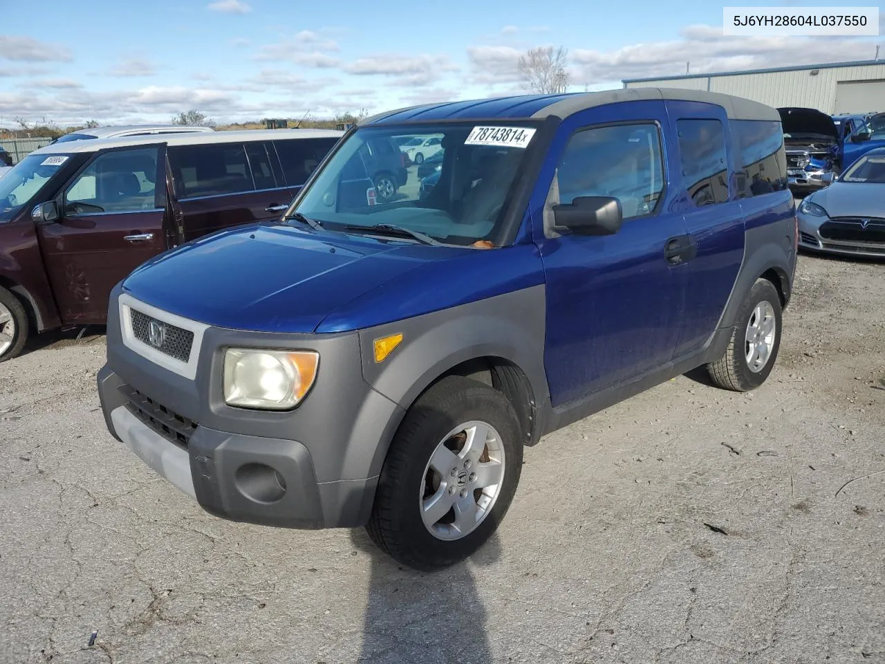 2004 Honda Element Ex VIN: 5J6YH28604L037550 Lot: 78743814