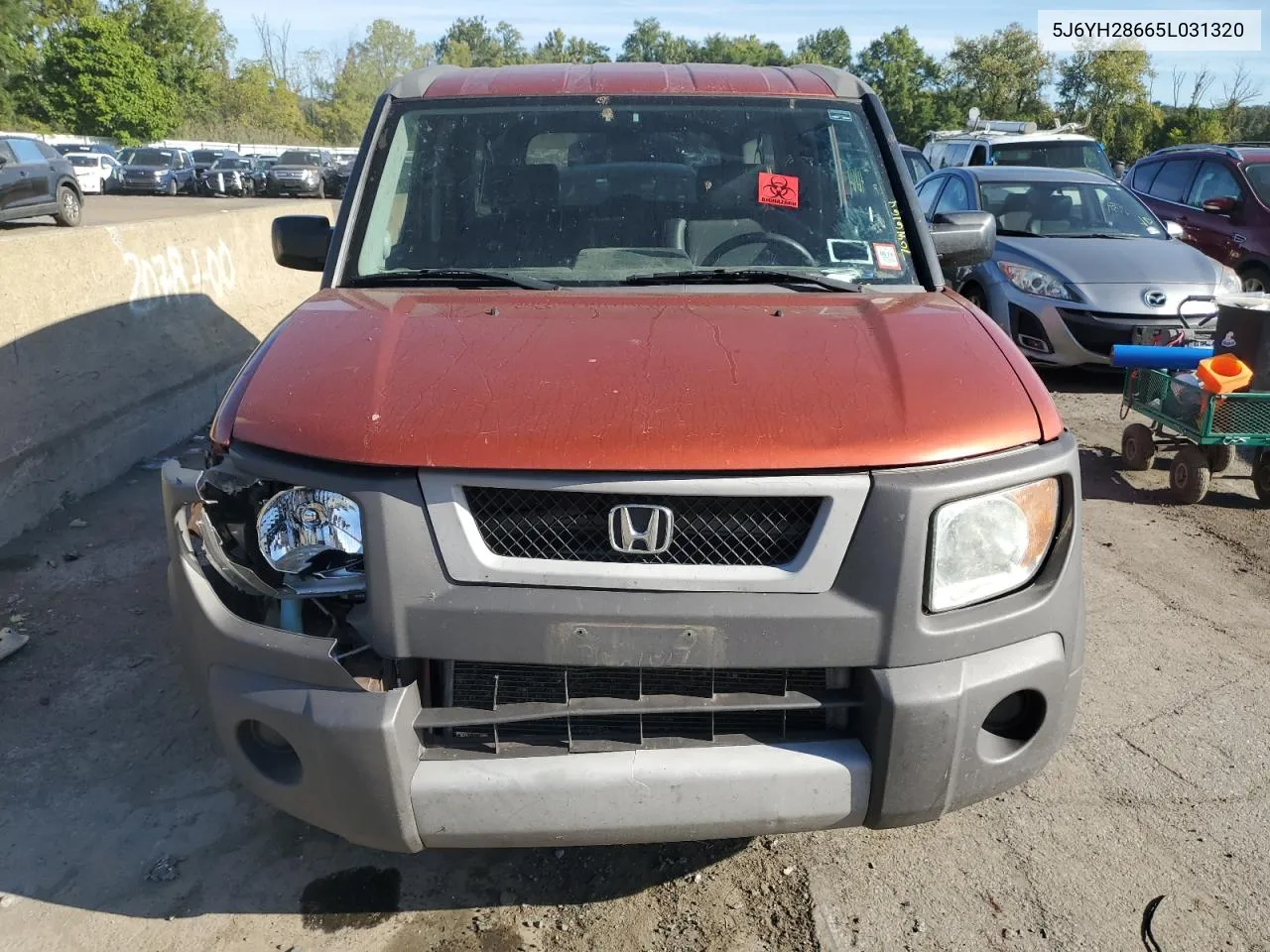 2005 Honda Element Ex VIN: 5J6YH28665L031320 Lot: 70446164