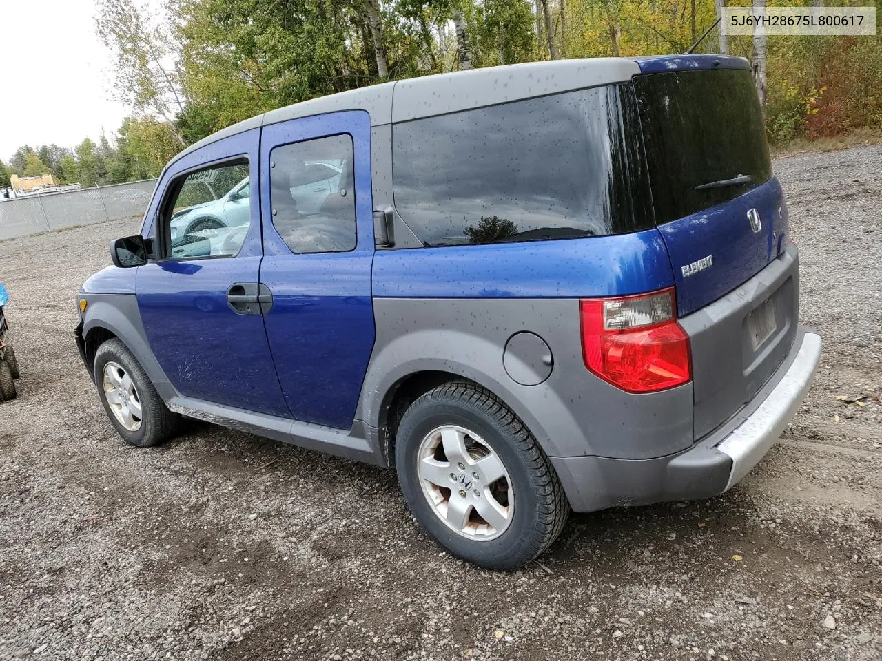 2005 Honda Element Ex VIN: 5J6YH28675L800617 Lot: 74905214