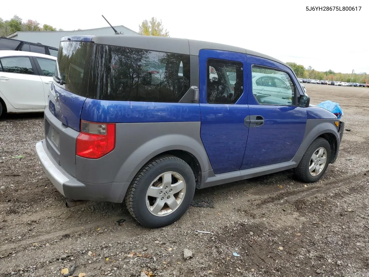 2005 Honda Element Ex VIN: 5J6YH28675L800617 Lot: 74905214