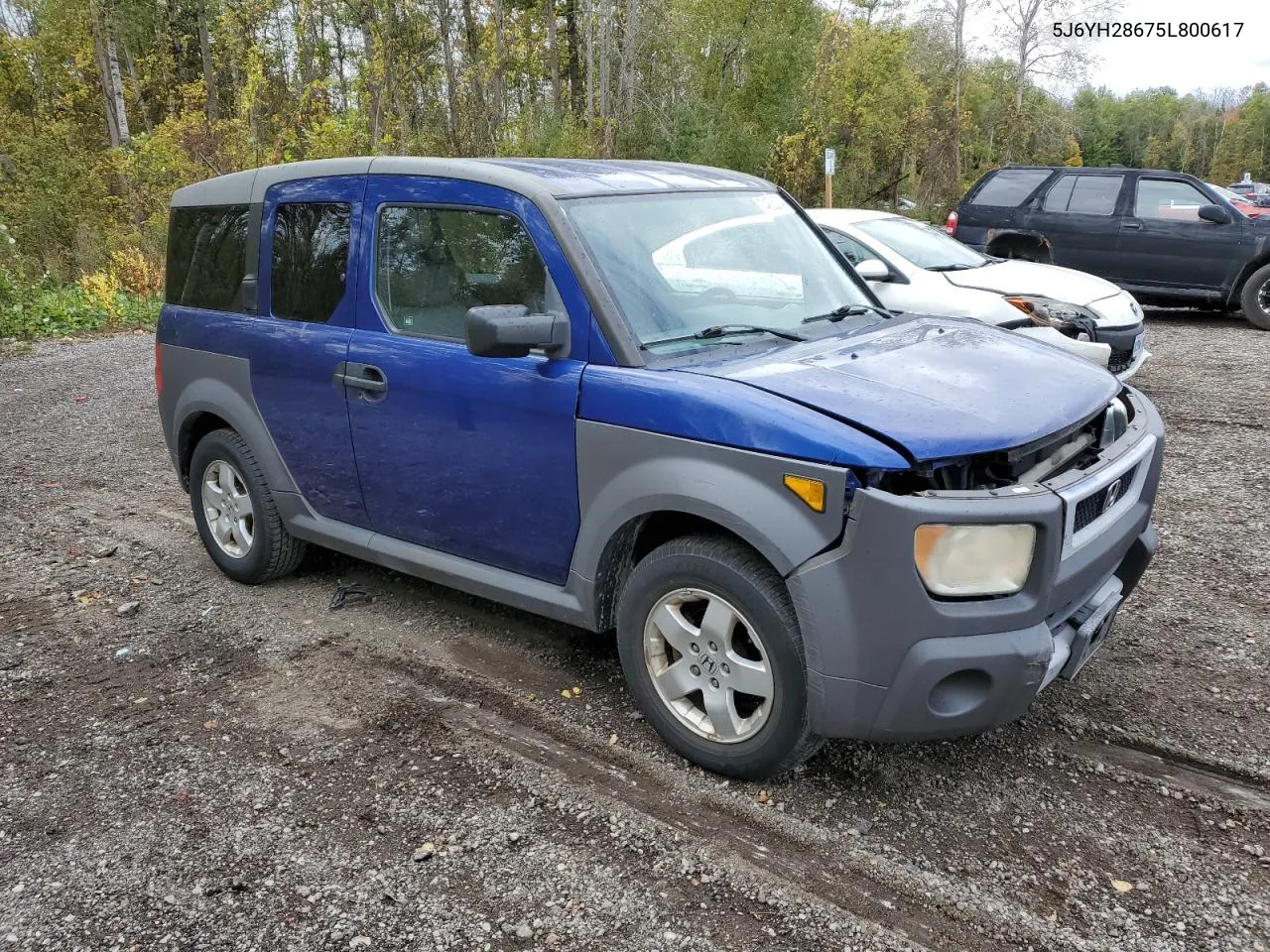 2005 Honda Element Ex VIN: 5J6YH28675L800617 Lot: 74905214