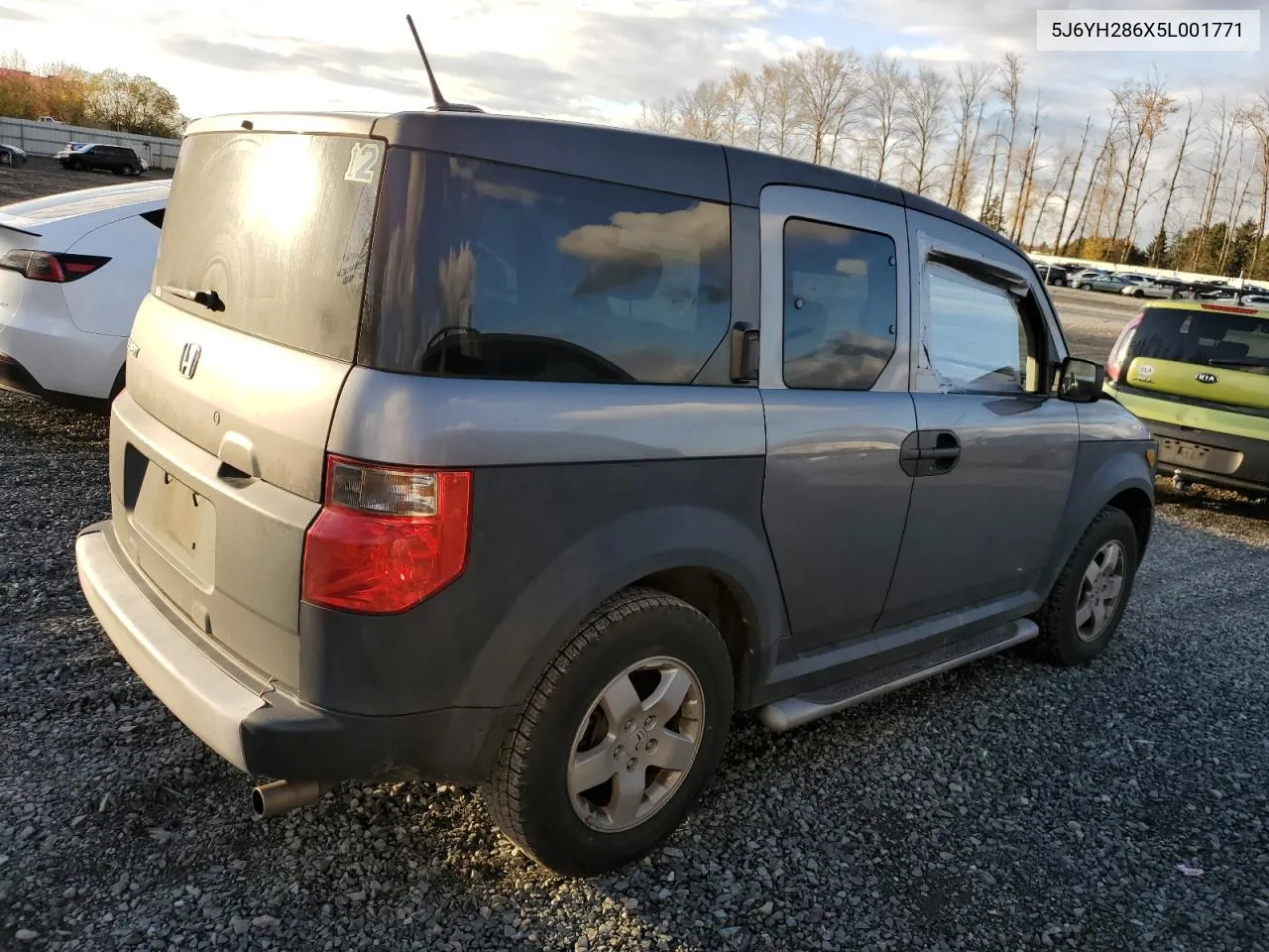 2005 Honda Element Ex VIN: 5J6YH286X5L001771 Lot: 77664944