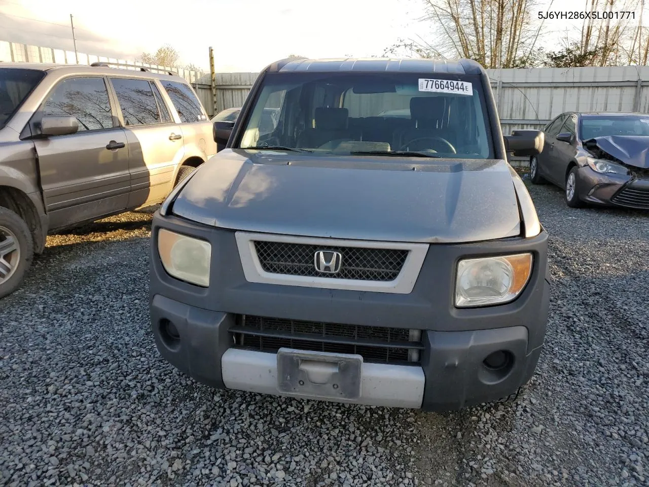 2005 Honda Element Ex VIN: 5J6YH286X5L001771 Lot: 77664944