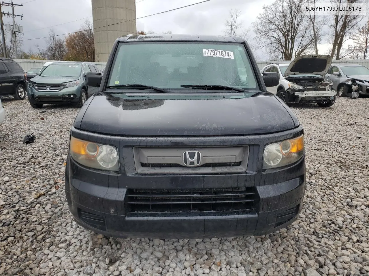 2007 Honda Element Sc VIN: 5J6YH17997L005173 Lot: 77971874