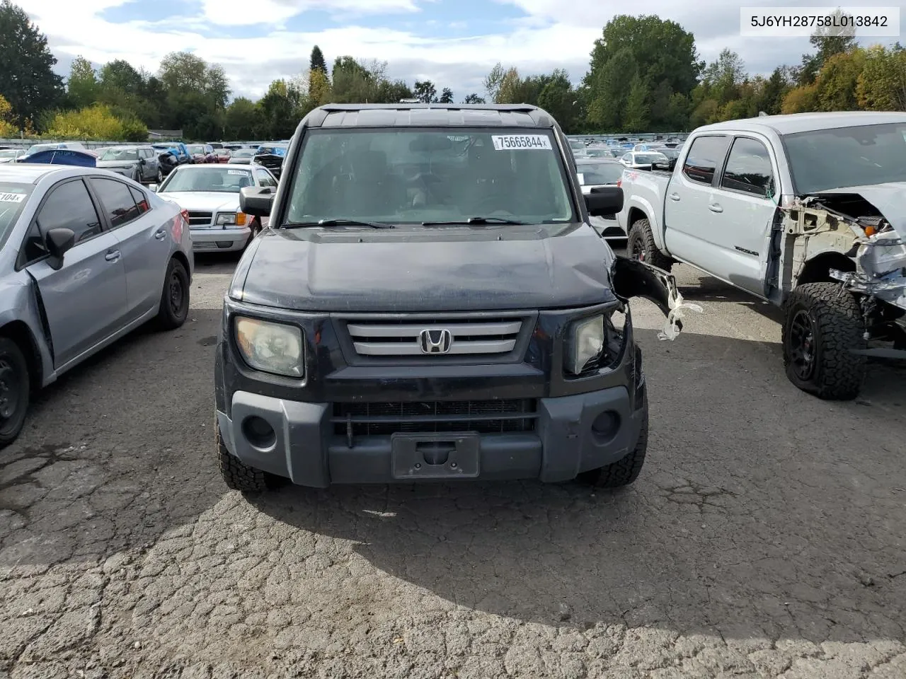 2008 Honda Element Ex VIN: 5J6YH28758L013842 Lot: 75665844