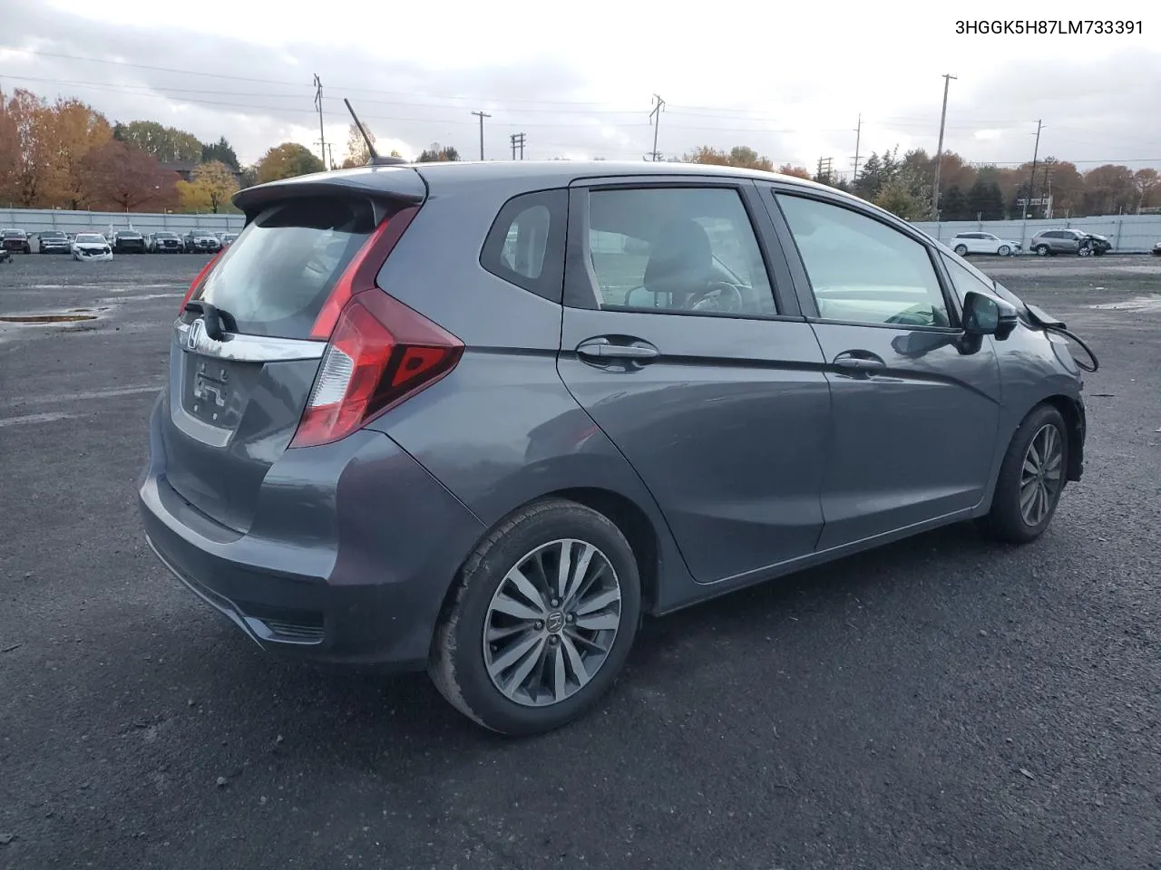 2020 Honda Fit Ex VIN: 3HGGK5H87LM733391 Lot: 78693674