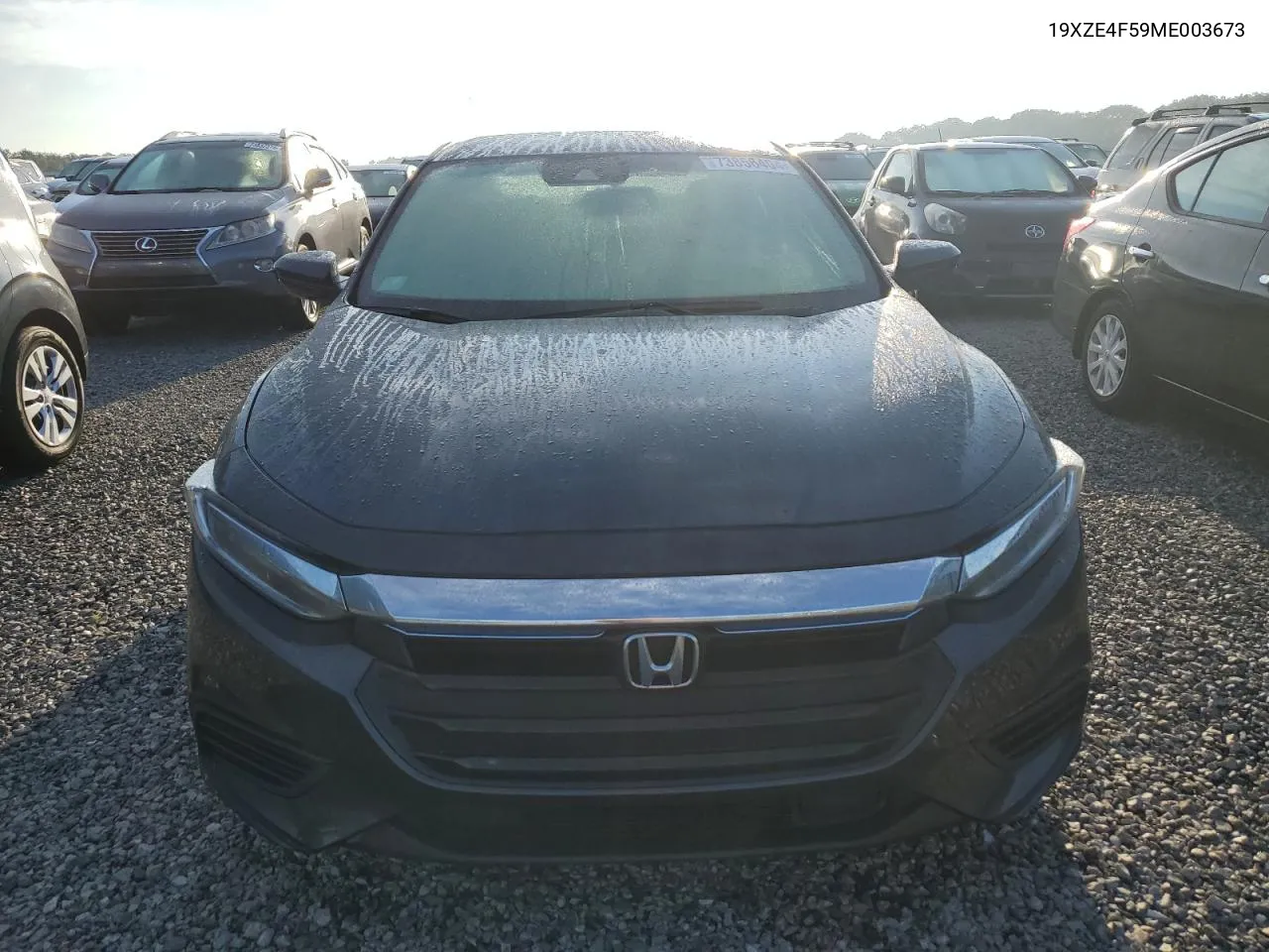 2021 Honda Insight Ex VIN: 19XZE4F59ME003673 Lot: 73856404