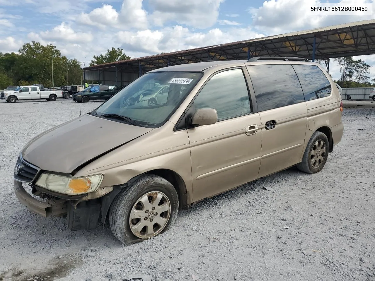 2002 Honda Odyssey Ex VIN: 5FNRL18612B000459 Lot: 73659574