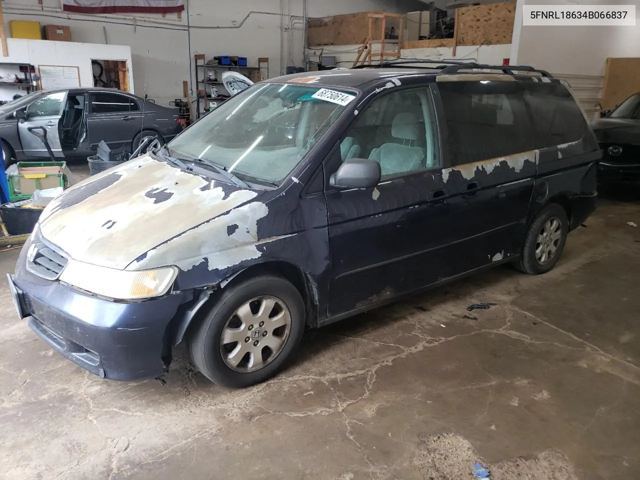 2004 Honda Odyssey Ex VIN: 5FNRL18634B066837 Lot: 68750614