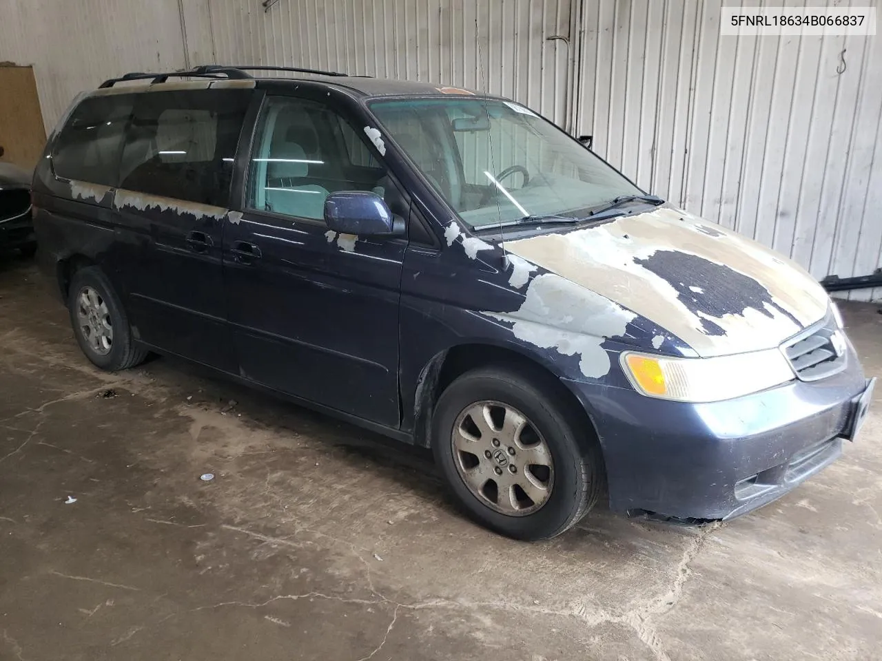 5FNRL18634B066837 2004 Honda Odyssey Ex