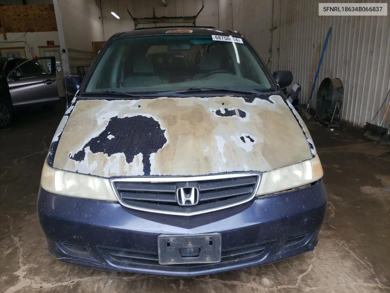 5FNRL18634B066837 2004 Honda Odyssey Ex