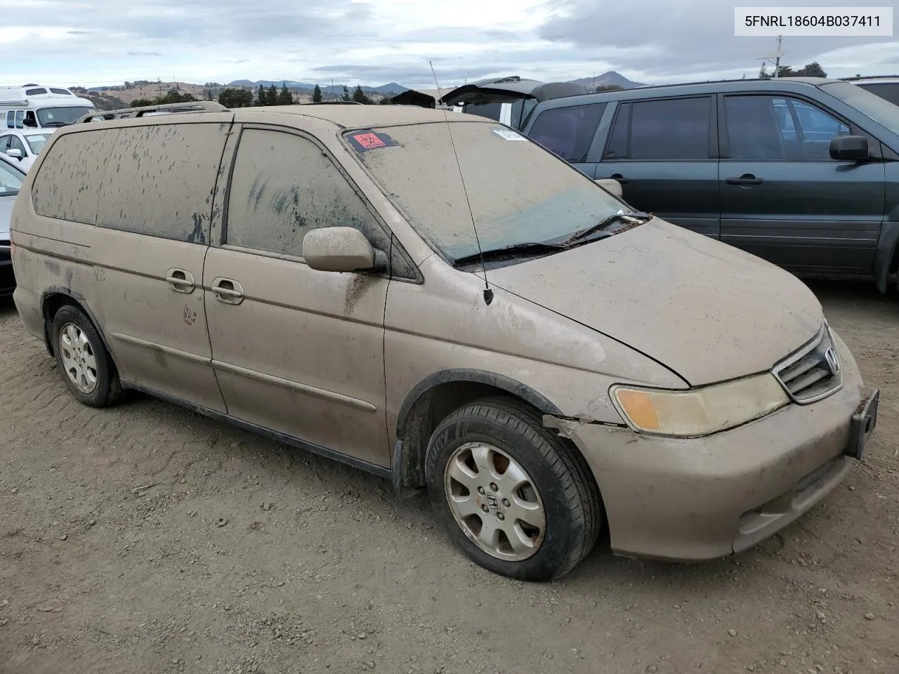 2004 Honda Odyssey Ex VIN: 5FNRL18604B037411 Lot: 72479364