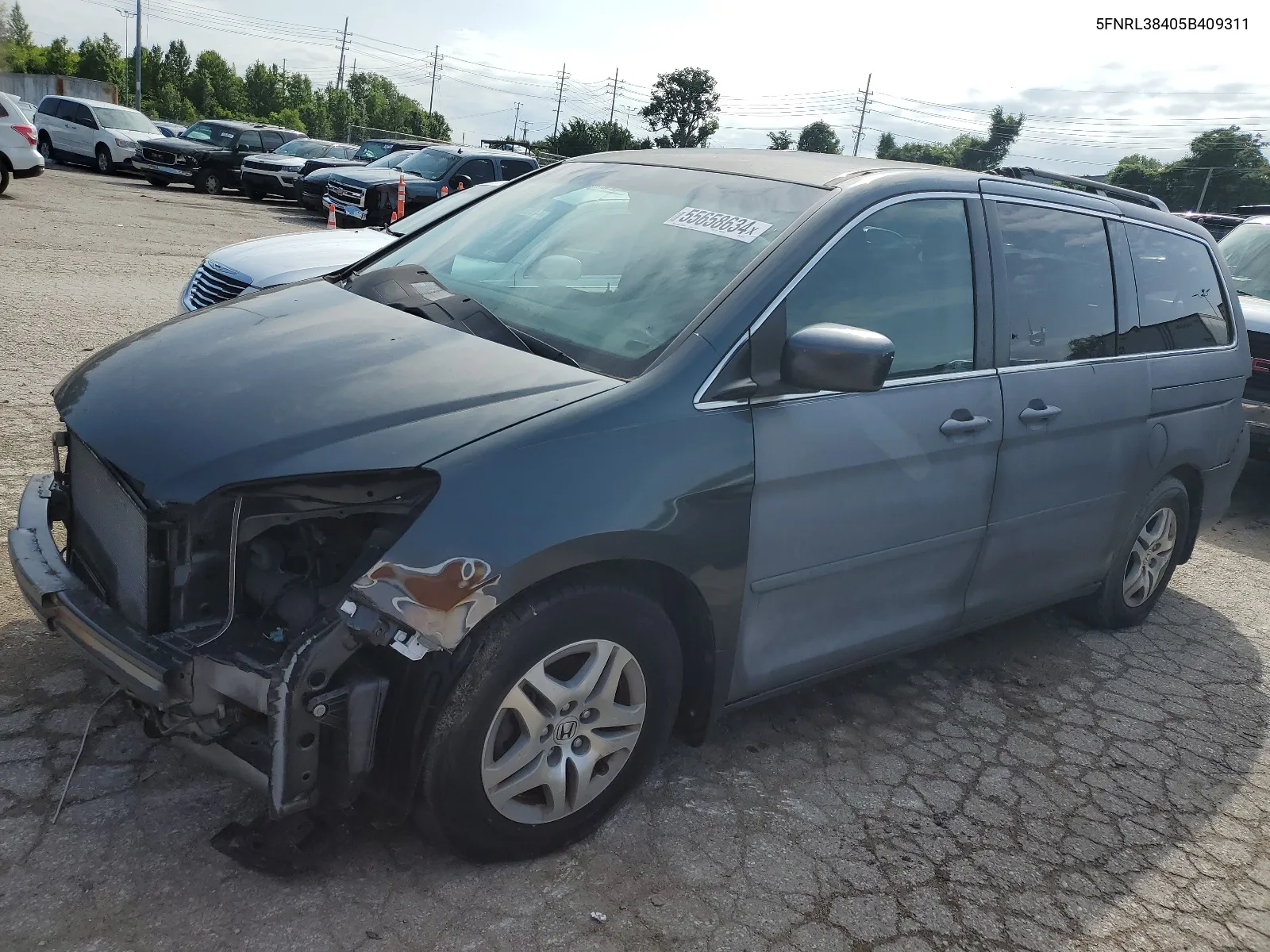 2005 Honda Odyssey Ex VIN: 5FNRL38405B409311 Lot: 55658634