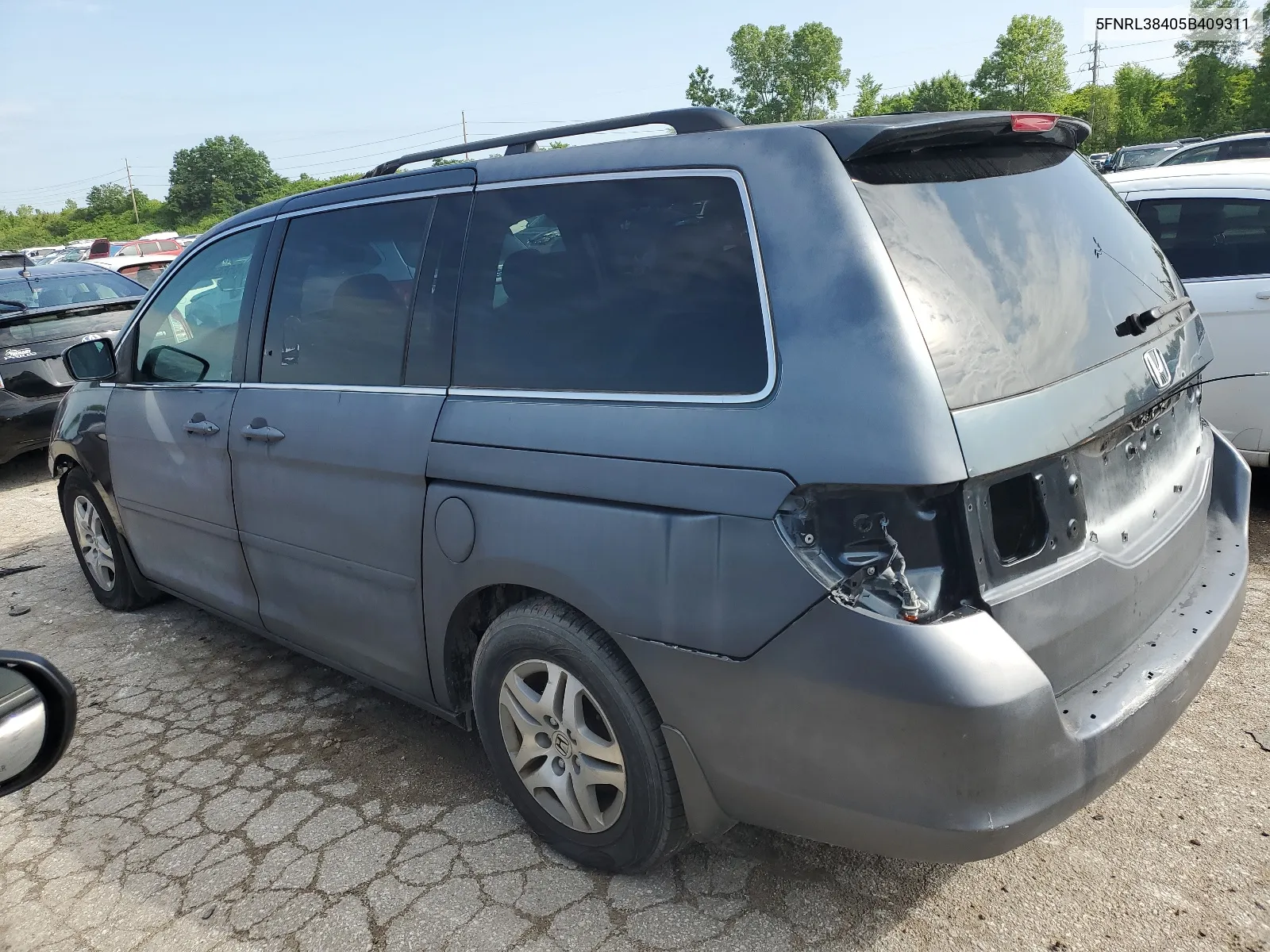 2005 Honda Odyssey Ex VIN: 5FNRL38405B409311 Lot: 55658634