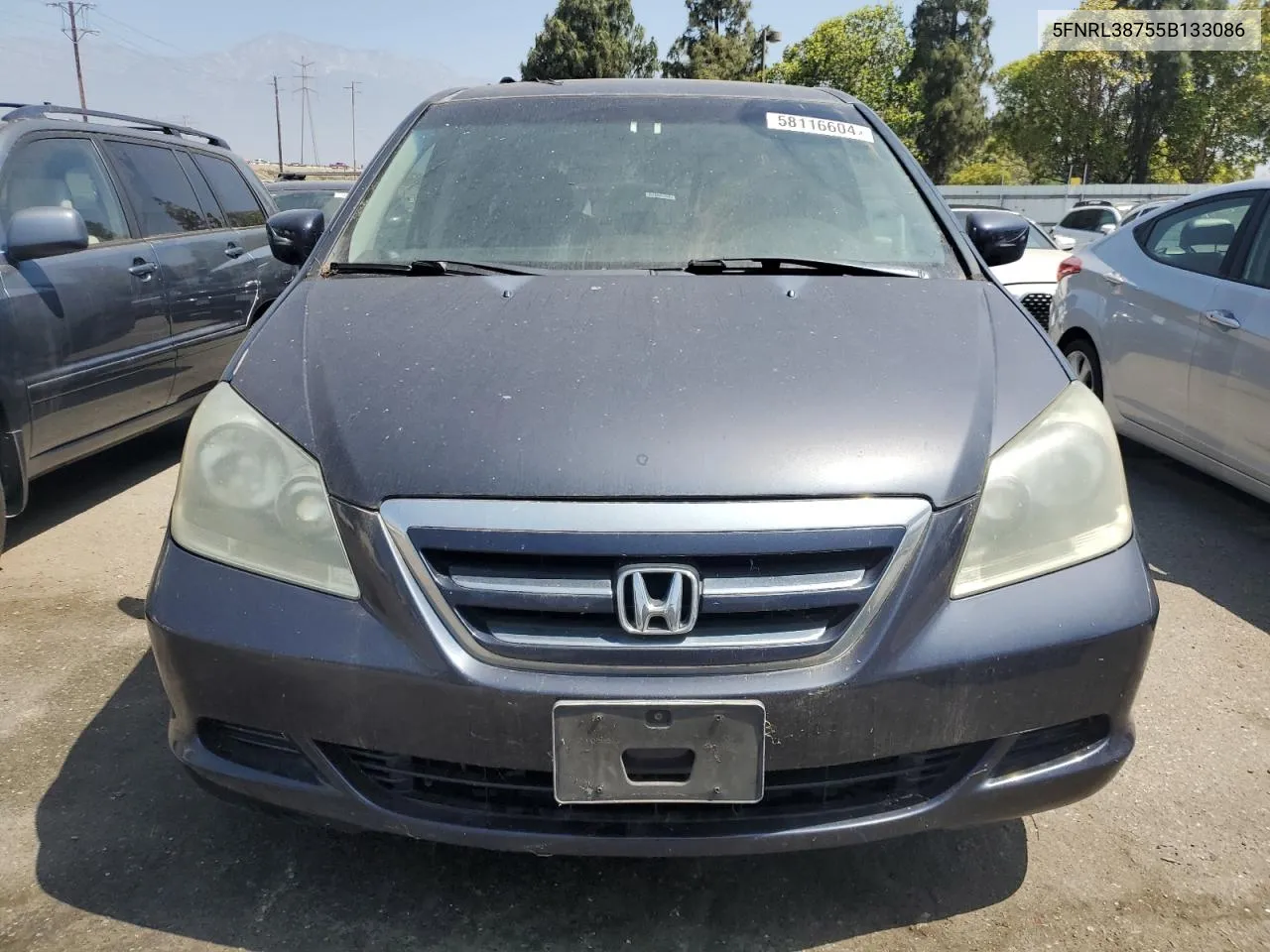 2005 Honda Odyssey Exl VIN: 5FNRL38755B133086 Lot: 58116604