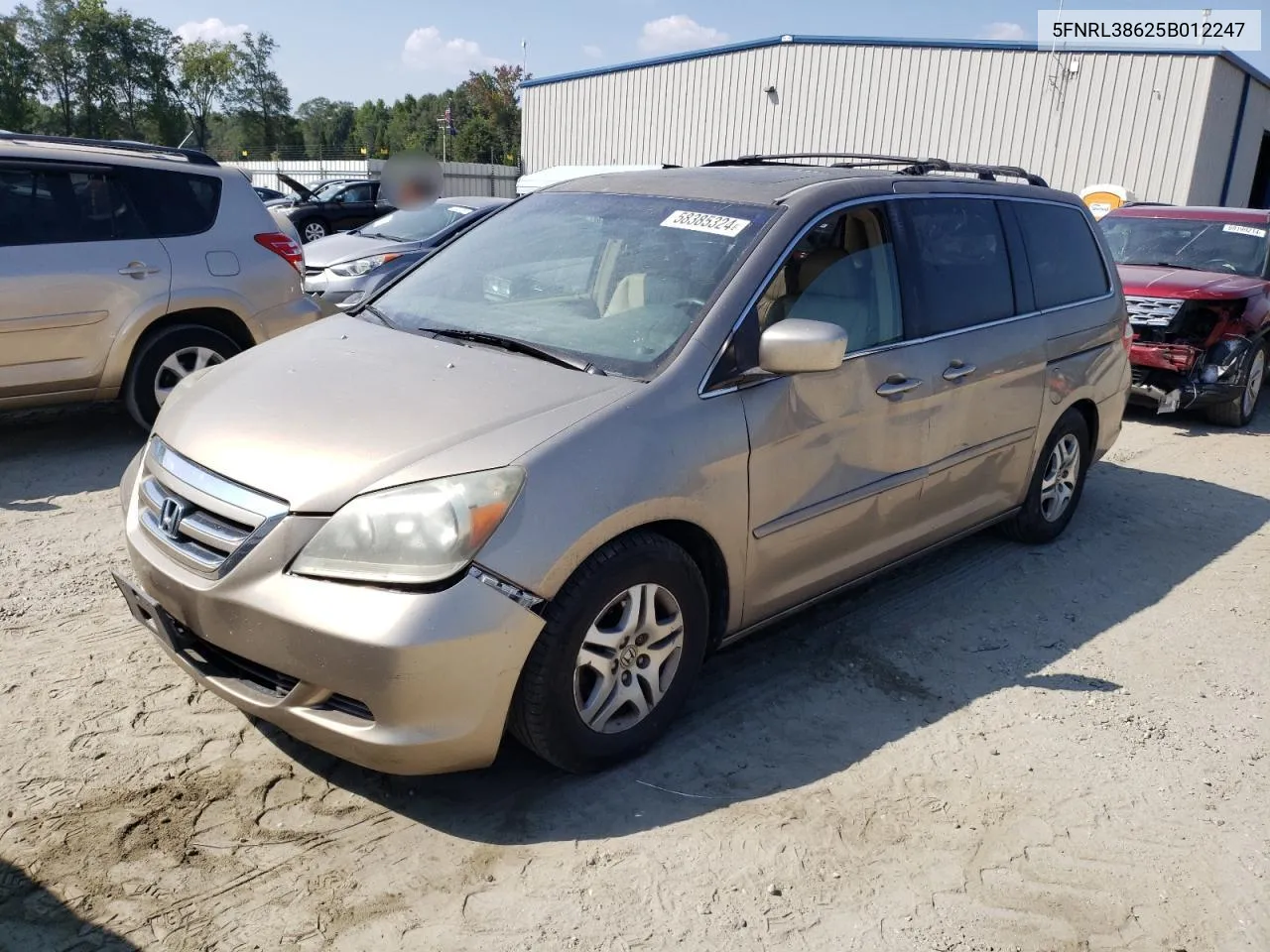 2005 Honda Odyssey Exl VIN: 5FNRL38625B012247 Lot: 58385324