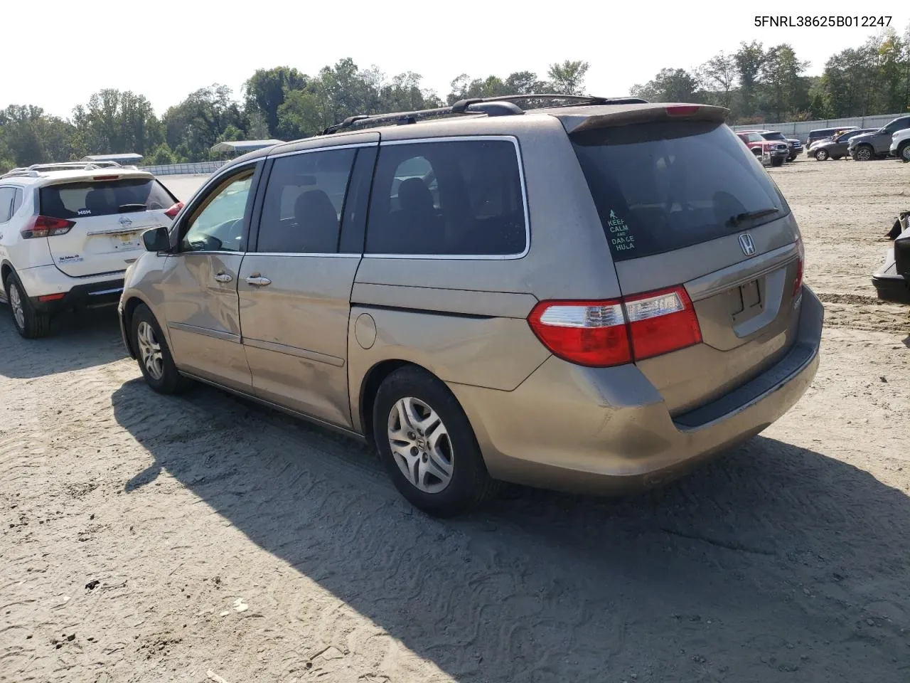 2005 Honda Odyssey Exl VIN: 5FNRL38625B012247 Lot: 58385324