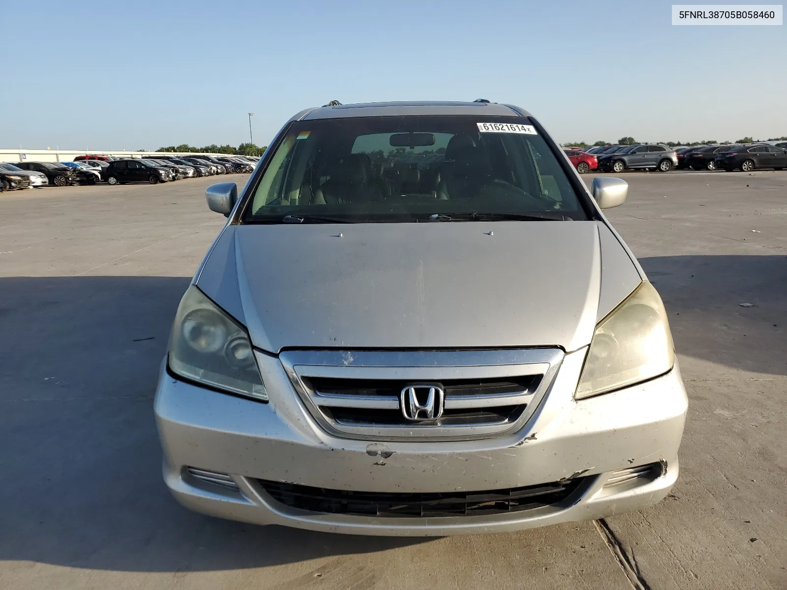 2005 Honda Odyssey Exl VIN: 5FNRL38705B058460 Lot: 61621614