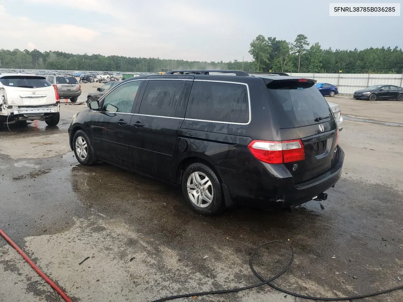 2005 Honda Odyssey Exl VIN: 5FNRL38785B036285 Lot: 62627964