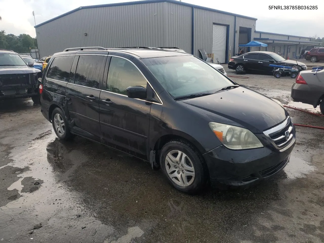 2005 Honda Odyssey Exl VIN: 5FNRL38785B036285 Lot: 62627964