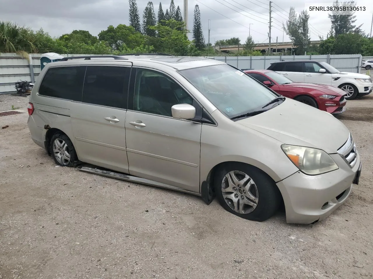 2005 Honda Odyssey Exl VIN: 5FNRL38795B130613 Lot: 62883474