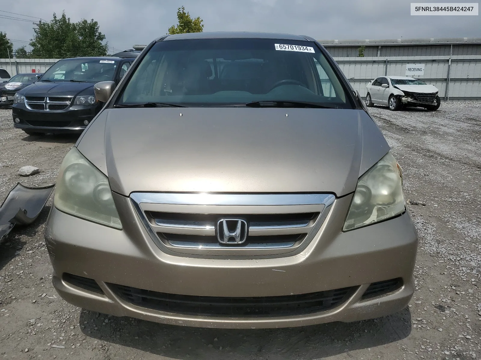 2005 Honda Odyssey Ex VIN: 5FNRL38445B424247 Lot: 65701934