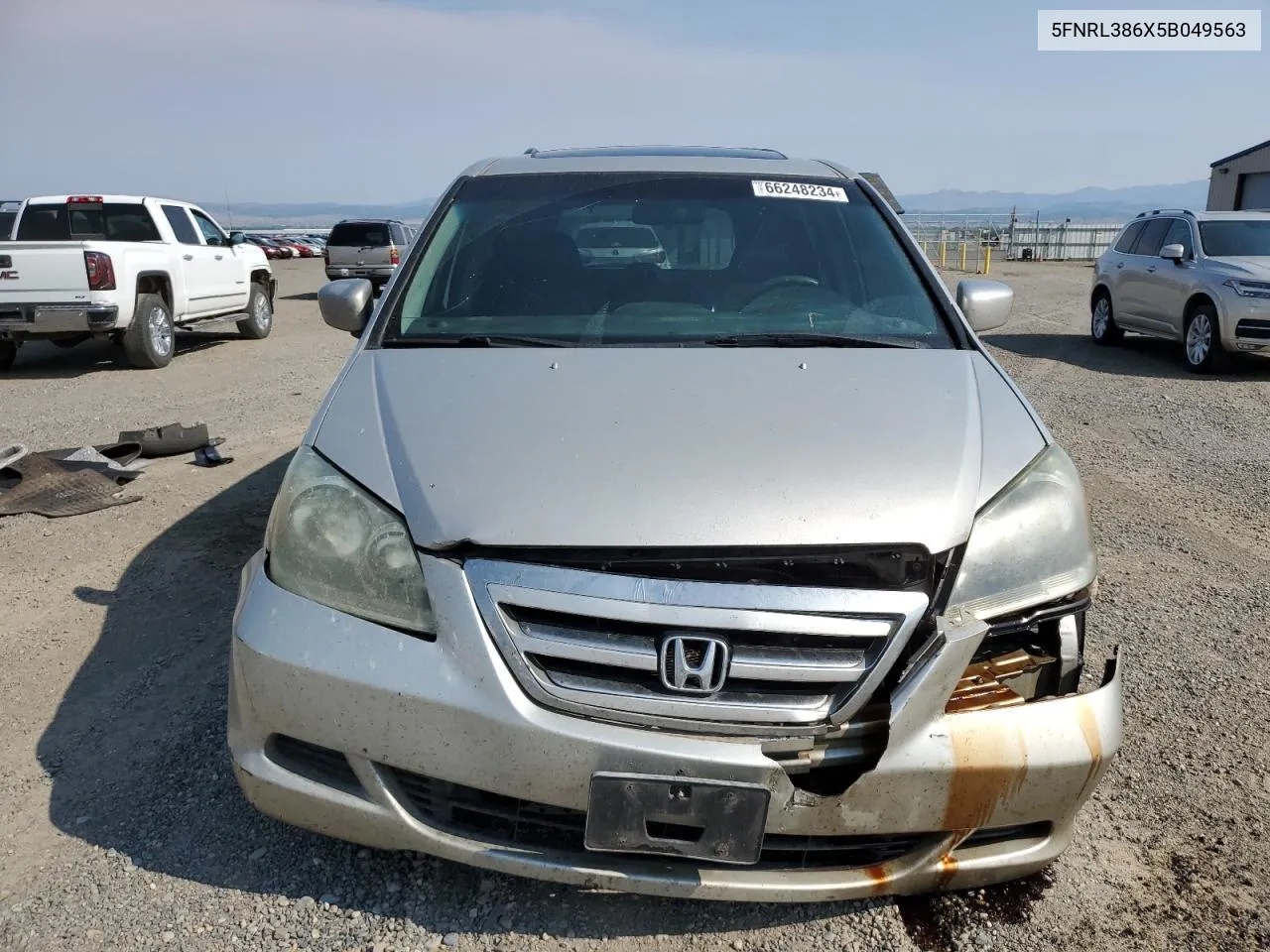 2005 Honda Odyssey Exl VIN: 5FNRL386X5B049563 Lot: 66248234