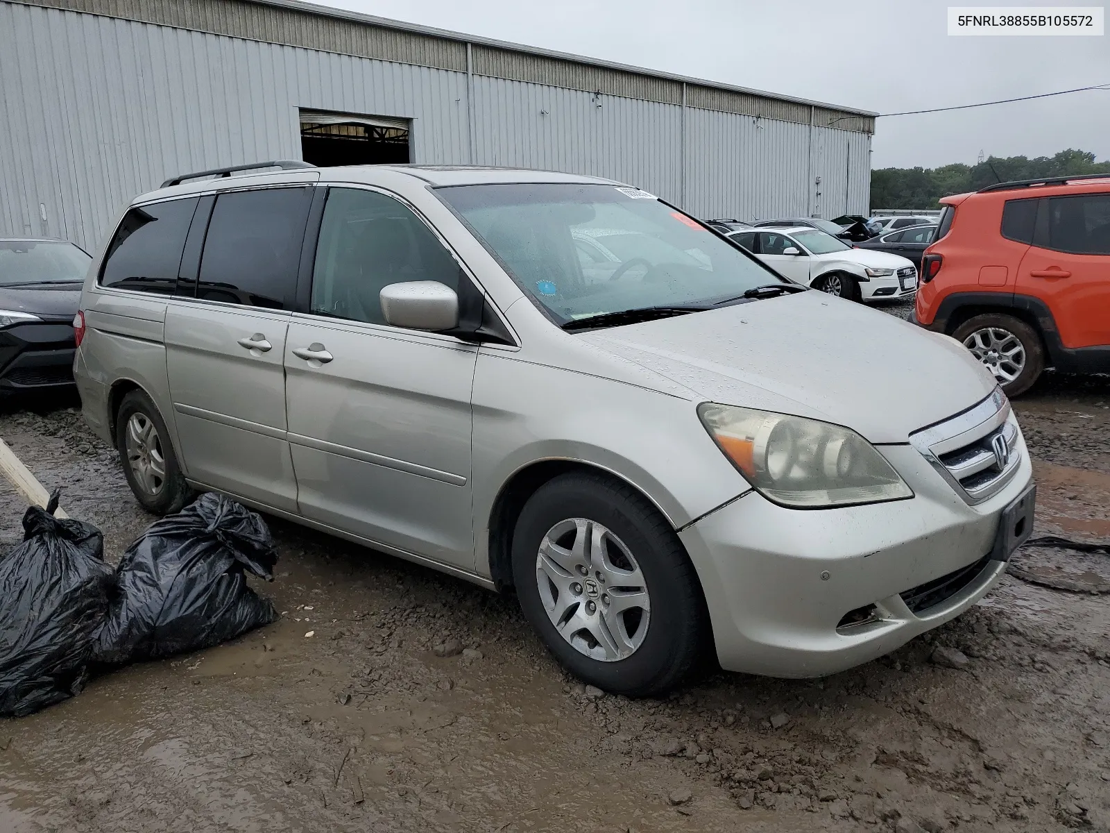 2005 Honda Odyssey Touring VIN: 5FNRL38855B105572 Lot: 66563974