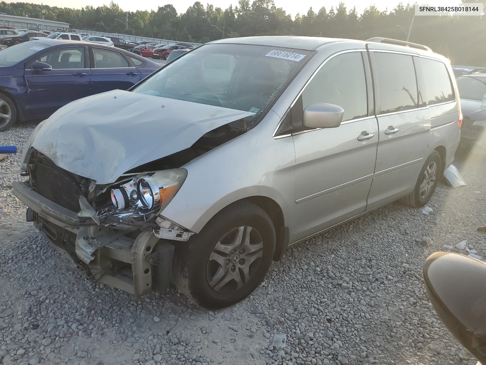 2005 Honda Odyssey Ex VIN: 5FNRL38425B018144 Lot: 66616014