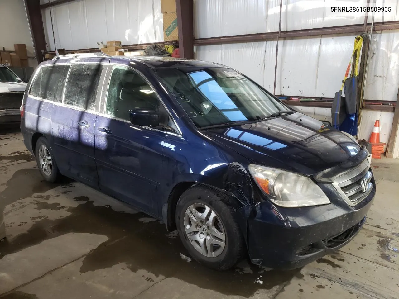 2005 Honda Odyssey Exl VIN: 5FNRL38615B509905 Lot: 66643622