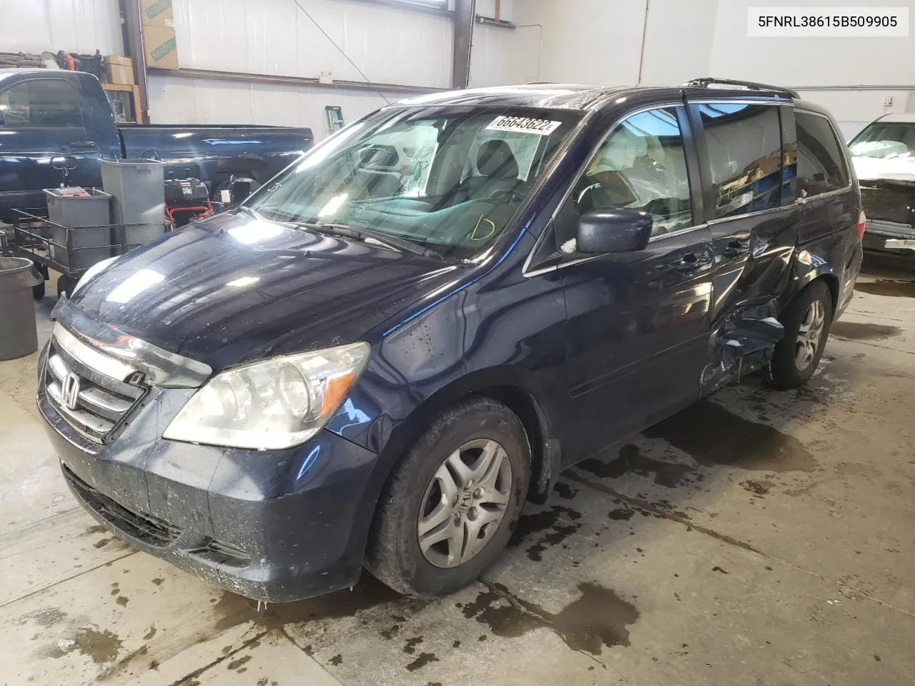 2005 Honda Odyssey Exl VIN: 5FNRL38615B509905 Lot: 66643622