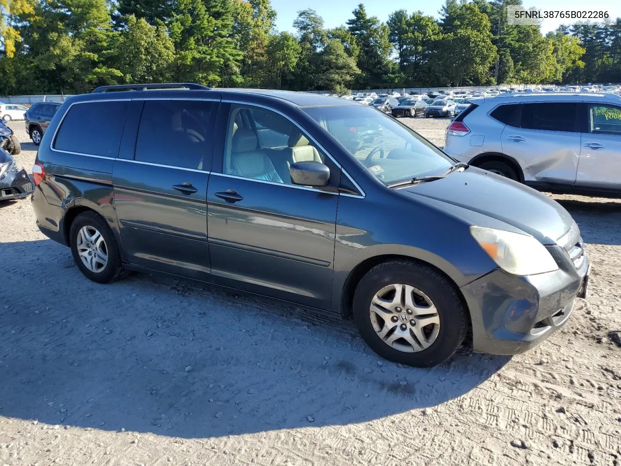 2005 Honda Odyssey Exl VIN: 5FNRL38765B022286 Lot: 67822464