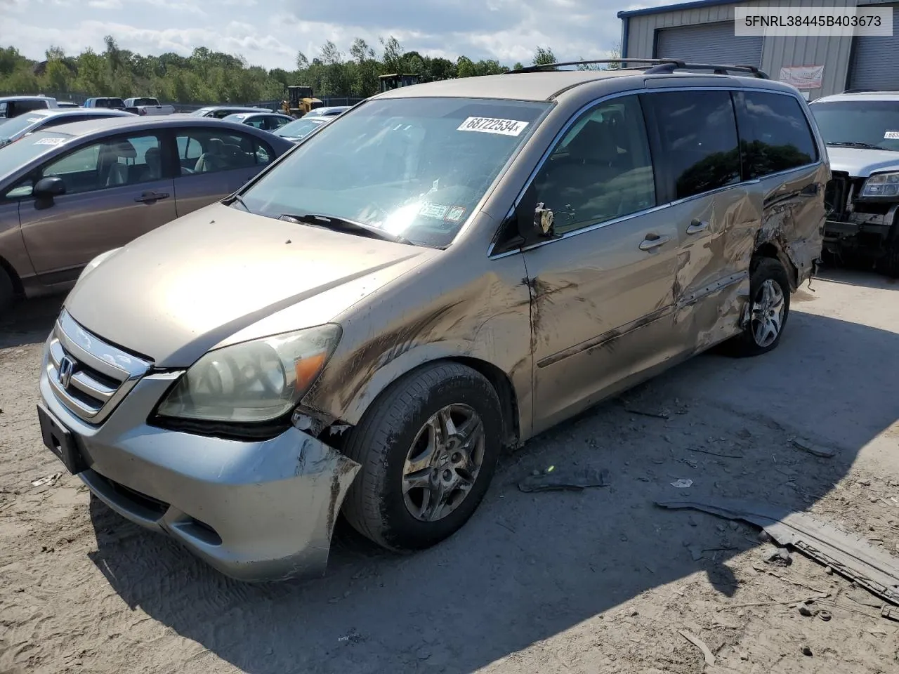 2005 Honda Odyssey Ex VIN: 5FNRL38445B403673 Lot: 68722534