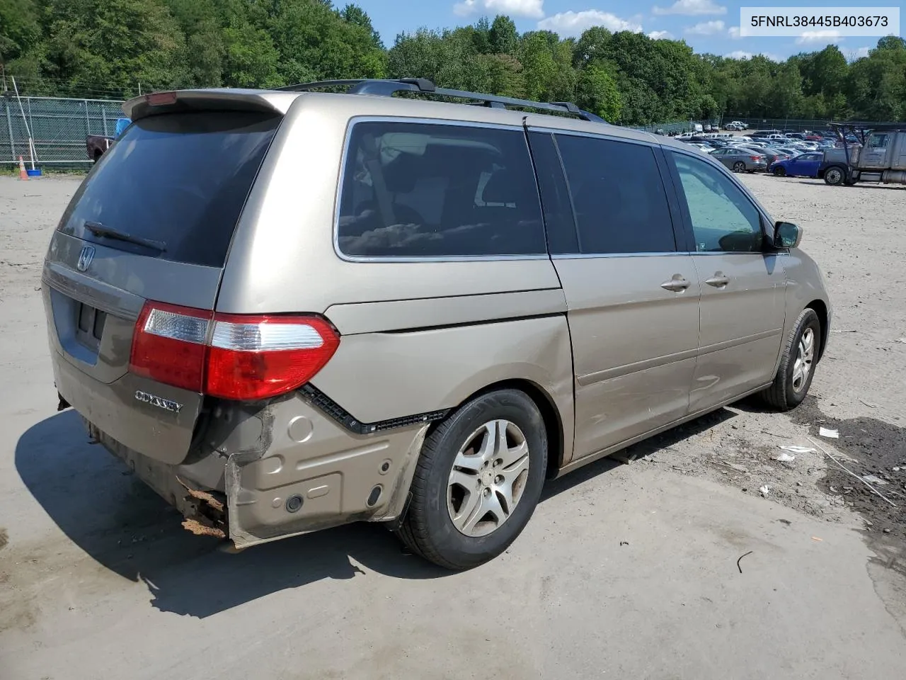 2005 Honda Odyssey Ex VIN: 5FNRL38445B403673 Lot: 68722534