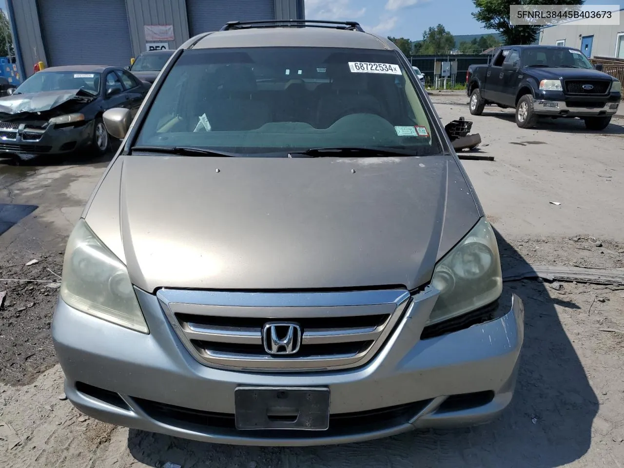 2005 Honda Odyssey Ex VIN: 5FNRL38445B403673 Lot: 68722534