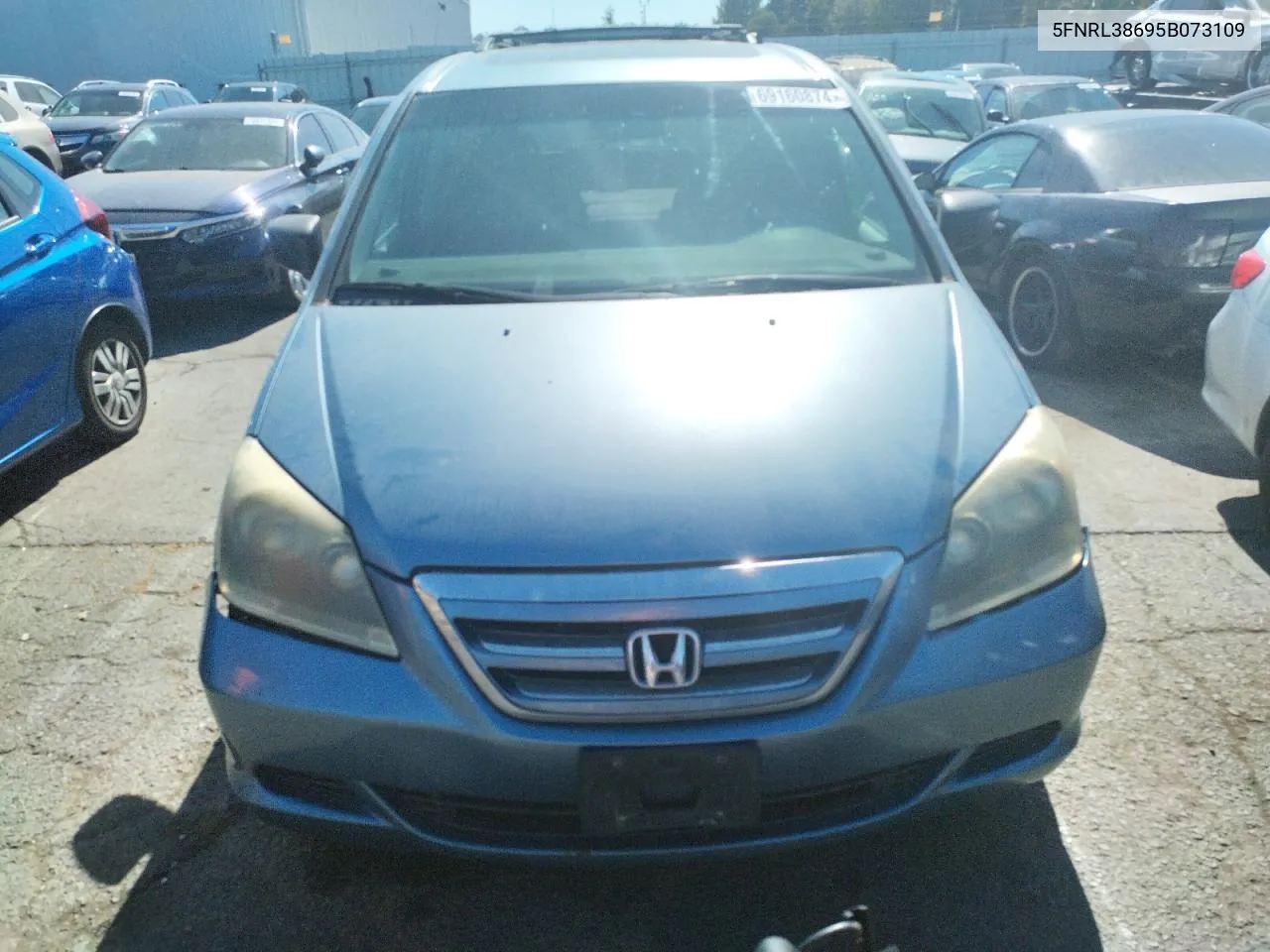 2005 Honda Odyssey Exl VIN: 5FNRL38695B073109 Lot: 69160874